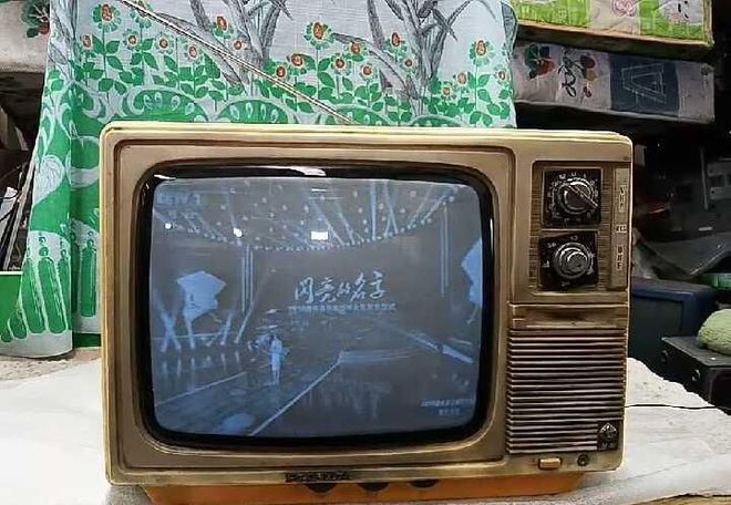朵金花如今三家易主只剩下一家成为一线品牌龙8long8国际唯一网站中国冰箱界的四(图2)