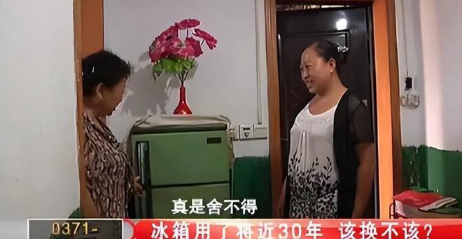 朵金花如今三家易主只剩下一家成为一线品牌龙8long8国际唯一网站中国冰箱界的四(图15)